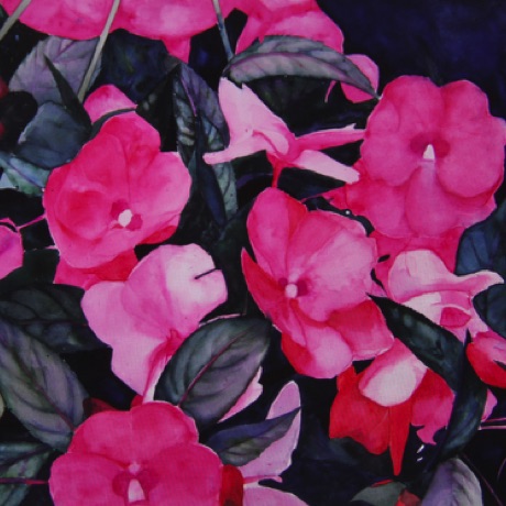 Impatiens
22x30 Impatiens
22x30
